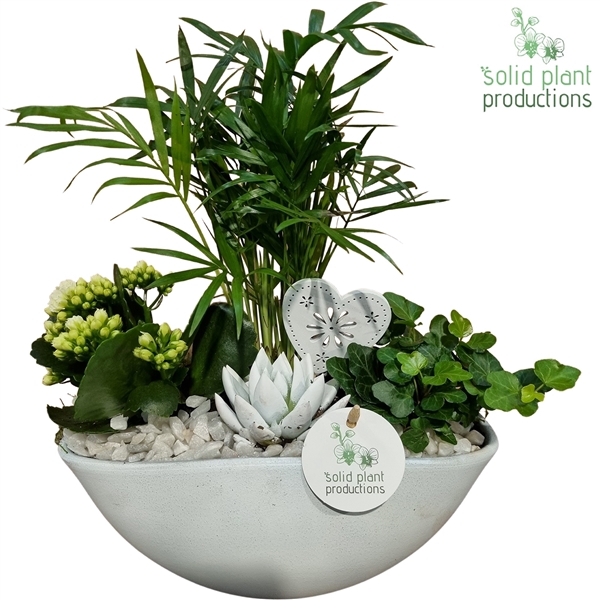 <h4>CE005 Eyleen White VM</h4>