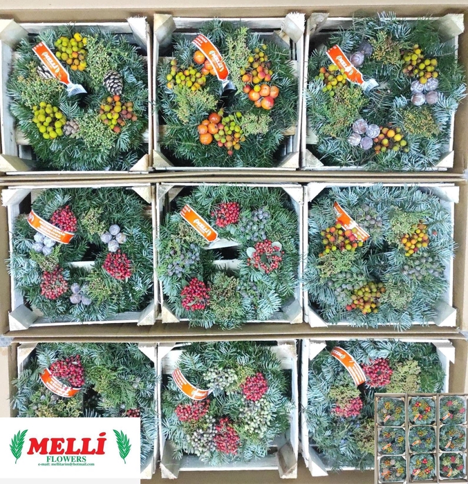 <h4>SIERFRUIT KRANS H%</h4>