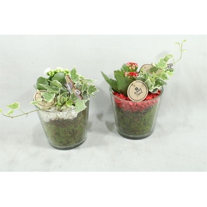arr2 PT POT ZWAAR WIT/ROOD