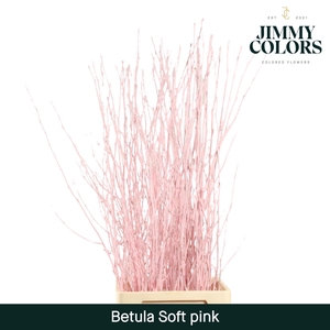 Betula L120 Soft pink