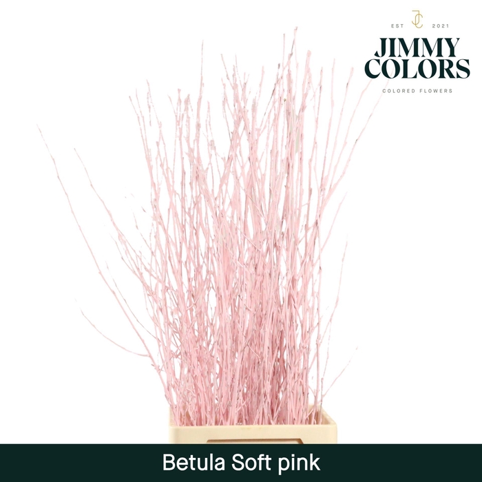 <h4>Betula L120 Soft pink</h4>