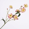 Ranunculus Butterfly Spray Pink FL440264PNK
