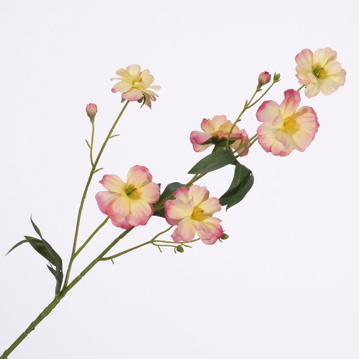 Ranunculus Butterfly Spray Pink FL440264PNK
