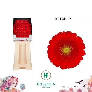 Ge Mi Ketchup