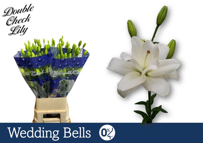 <h4>LI LA DU WEDDINGBELLS 5+ enkel slecht blad</h4>