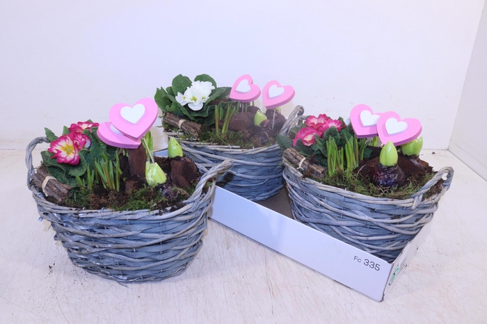 <h4>ARR TUINPLANTEN</h4>