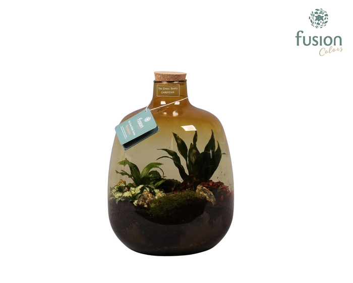 <h4>Glas Terrarium oker met Arrangement</h4>