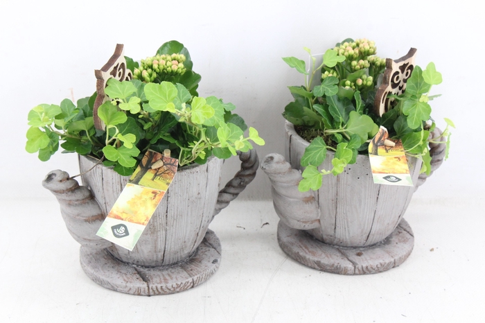 arr2 JS - Ker. theepot hout decor