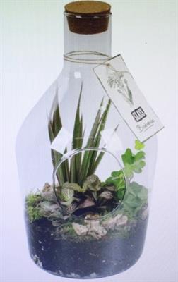 <h4>2160 Botanic Fles Hoog</h4>