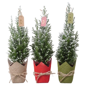 PTK25126 Ellwoodii met sneeuw in jute mix met decoratie