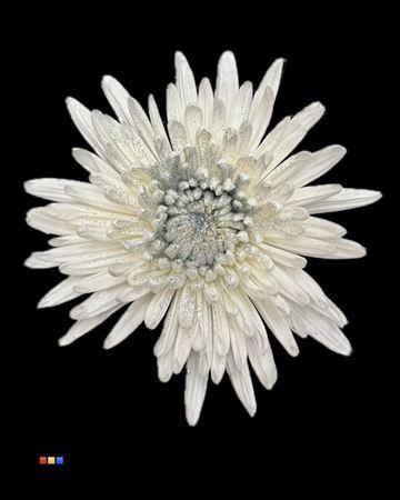 <h4>Chr G Anastasia Sparkling Silver</h4>