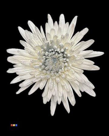 <h4>Chr G Anastasia Sparkling Silver</h4>