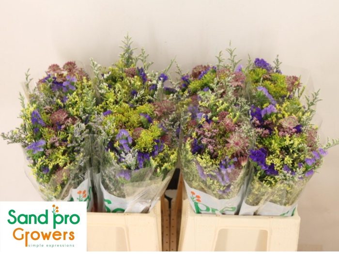 <h4>GEM ZOMERBOEKET</h4>