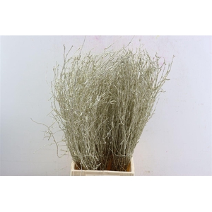 Berk 70cm Gl Platina Pbs