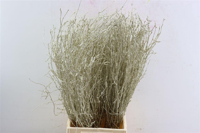 <h4>Berk 70cm Gl Platina Pbs</h4>