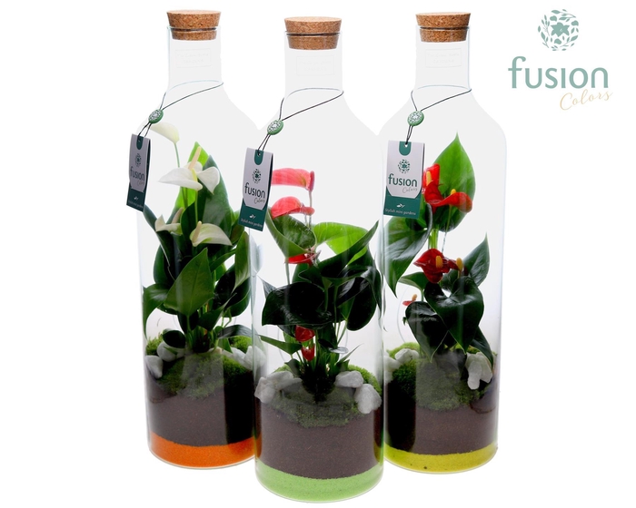 <h4>Green Bottle Fles Large met Anthurium</h4>