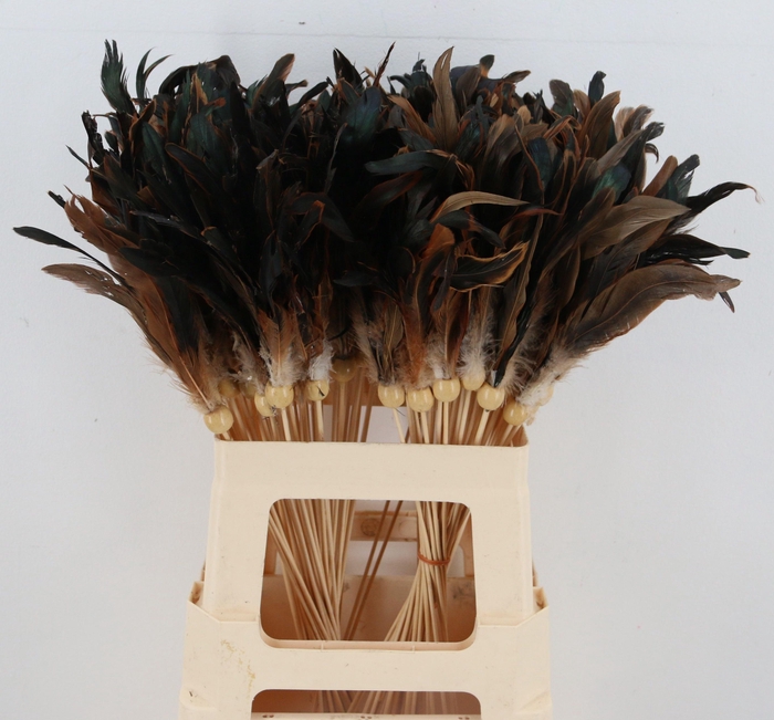 <h4>HUIS EN TUINDECO H%</h4>