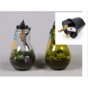 Glas Terrarium helder XXL Succulenten met verlichting met Engelse stekker
