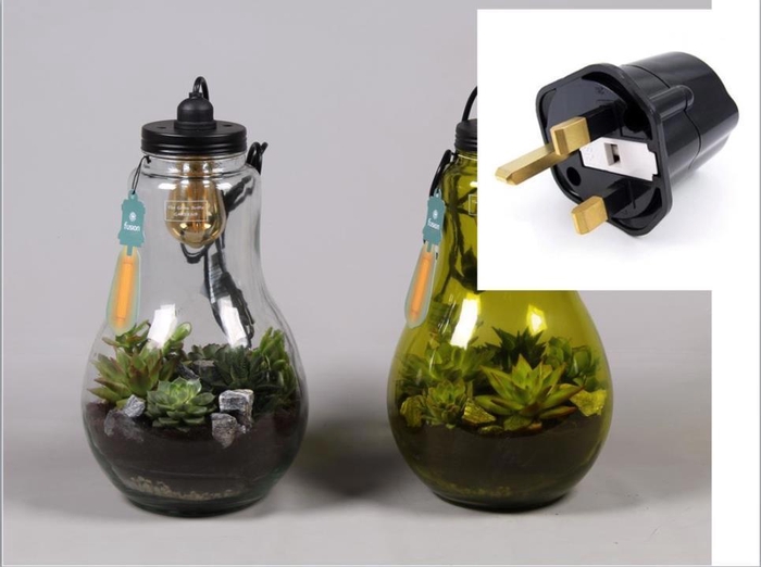 <h4>Glas Terrarium helder XXL Succulenten met verlichting met Engelse stekker</h4>
