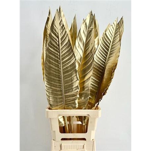 Strelitzia Blad Painted Gold