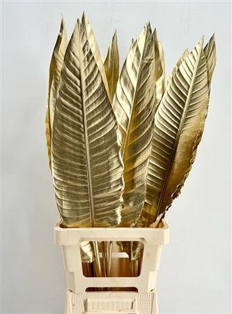 <h4>Strelitzia Blad Painted Gold</h4>