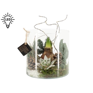 61710: X-mas arrangement met LED