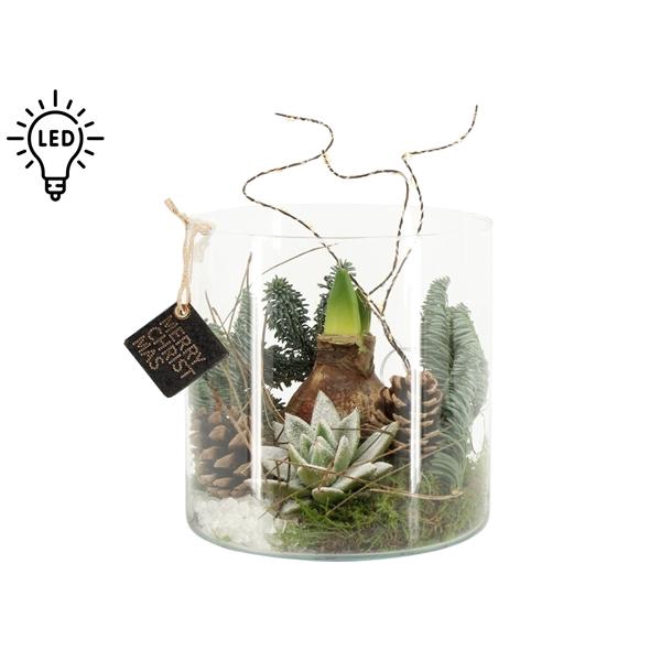 <h4>61710: X-mas arrangement met LED</h4>