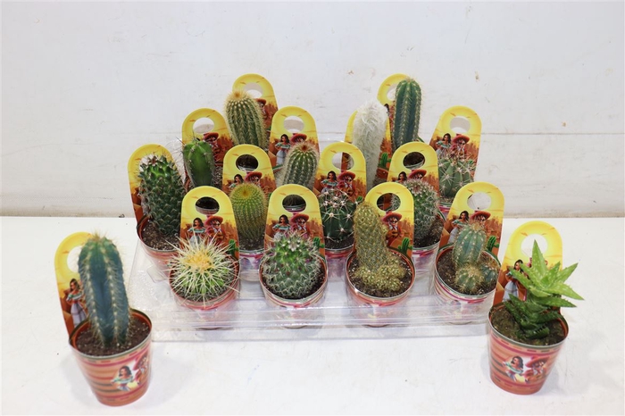 <h4>Cactus Gem</h4>