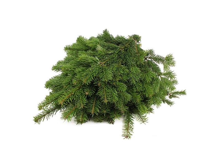 <h4>Nordman Handbos ( 750 Gr. )</h4>