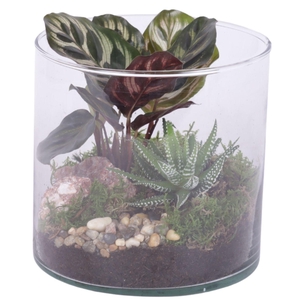 Yearround Arr. Indoor Glass Vase Cylinder Ø15cm 2PP