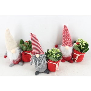 arr2 MB - Gnome mix x12