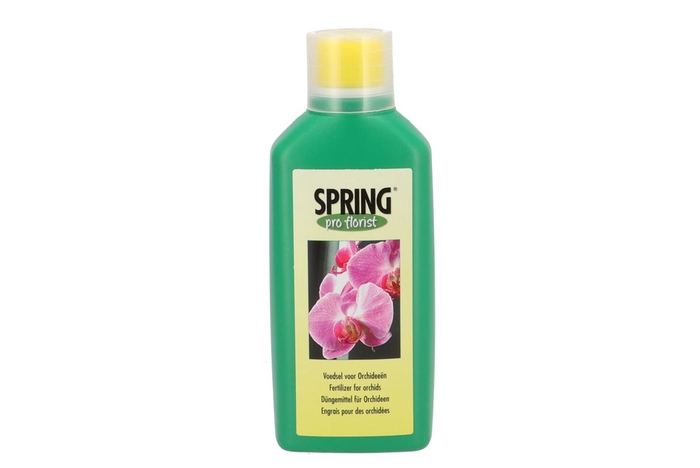<h4>Floristry Spring Nutrition Orchids 500ml P/20</h4>