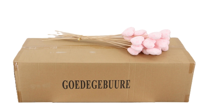 <h4>HUIS EN TUINDECO H%</h4>