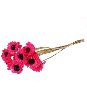 Artificial flowers Germini 60cm x10