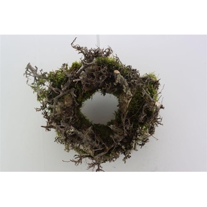 Wr Bonsai Mix Moss Bark 35cm