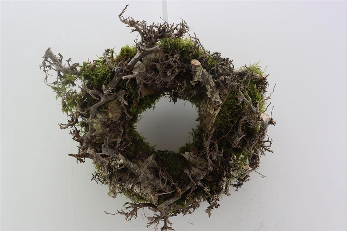 <h4>Wr Bonsai Mix Moss Bark 35cm</h4>