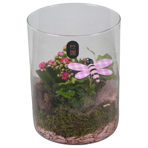 Arr.    Planten  L%