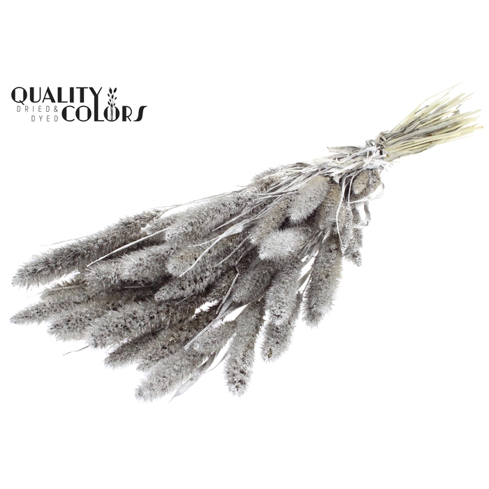 <h4>Setaria per bunch Platina + Glitter</h4>
