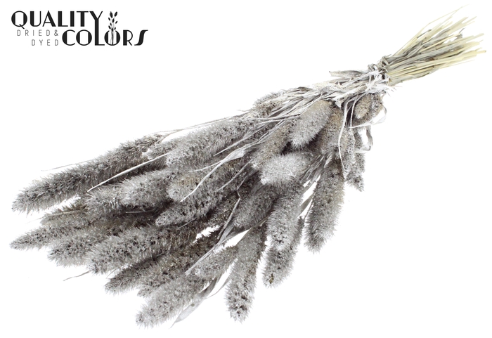 Setaria per bunch Platina + Glitter