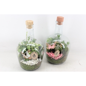 arr2 PL - Glas fles dop 999/6 - roze/wit