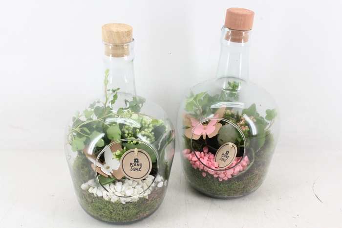<h4>arr2 PL - Glas fles dop 999/6 - roze/wit</h4>