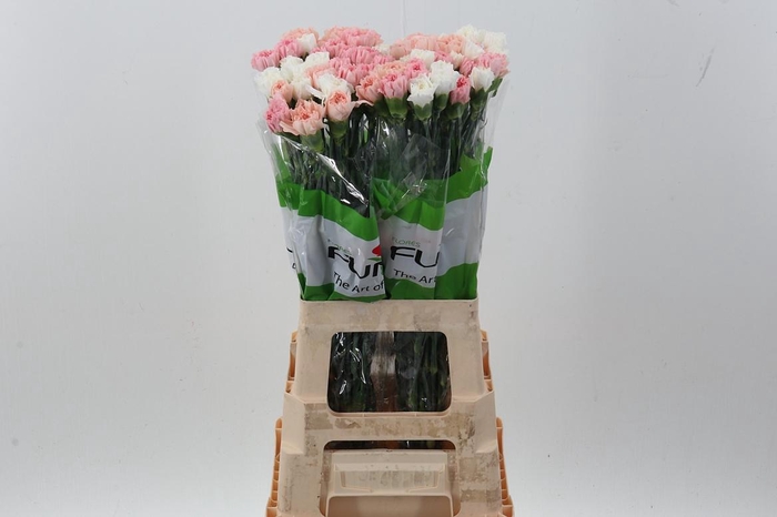 <h4>Di St Rainbow Wedding</h4>