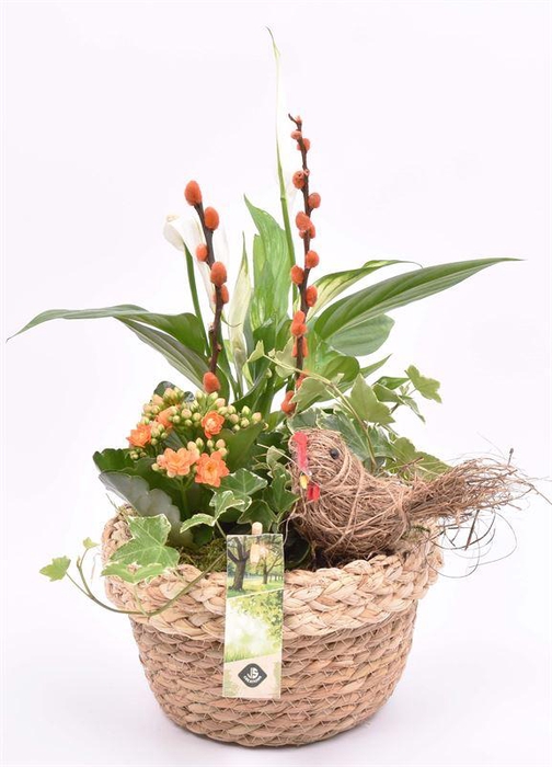 <h4>Jute mand met rand 18cm</h4>