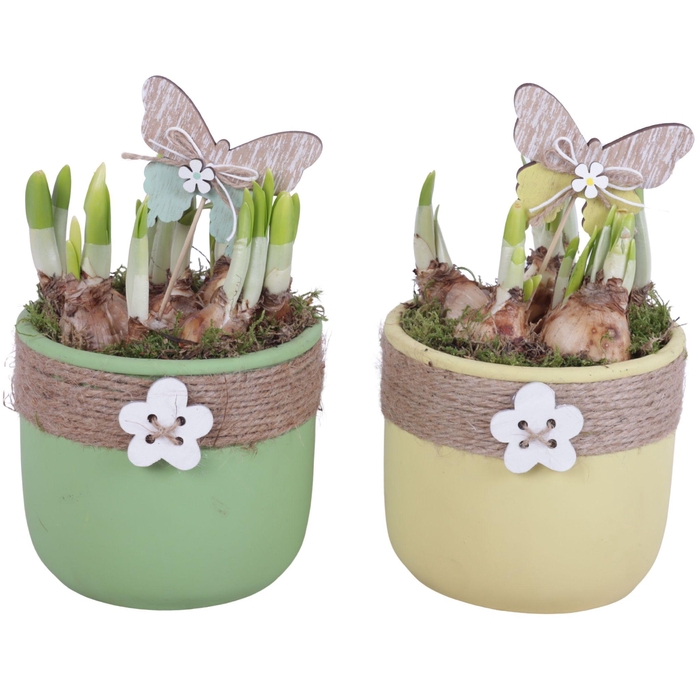 <h4>Bulbs Arr. Narcis Ceramic Pot Round Rope Flower Ø14cm</h4>