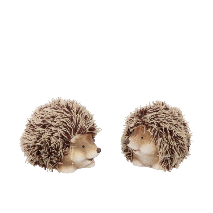 <h4>Hedgehog Wolly Duo Ass 13x8x8cm Nm</h4>