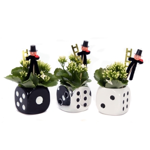 Kalanchoe dobbelsteen 6 cm met schoorsteen veger