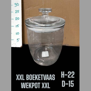 GLAS VAAS WEKPOT H22XD15