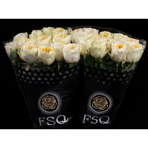 R GR Gar Antonia Garden Box