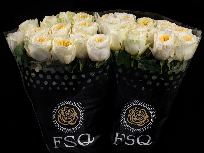 <h4>R GR Gar Antonia Garden</h4>