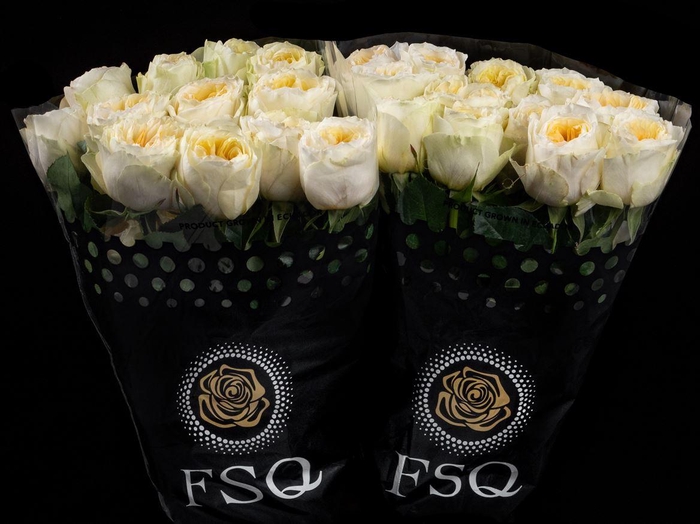 <h4>R GR Gar Antonia Garden</h4>